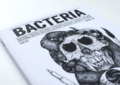 Bacteria